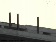 Imagine atasata: Openville - 2016.07.23- 28.jpg